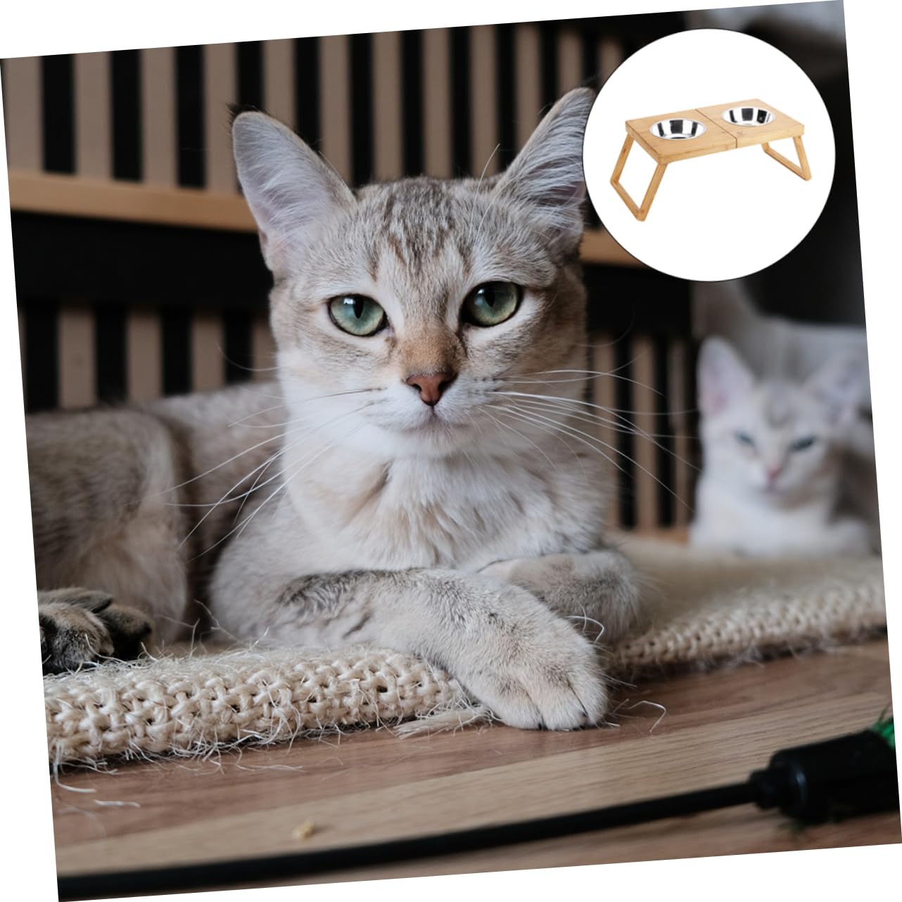 BESPORTBLE 1pieza Soporte De Doble Cuenco De Acero Inoxidable para Mascotas Comedero para Perros y Gatos para Alimentación De Comida y Agua