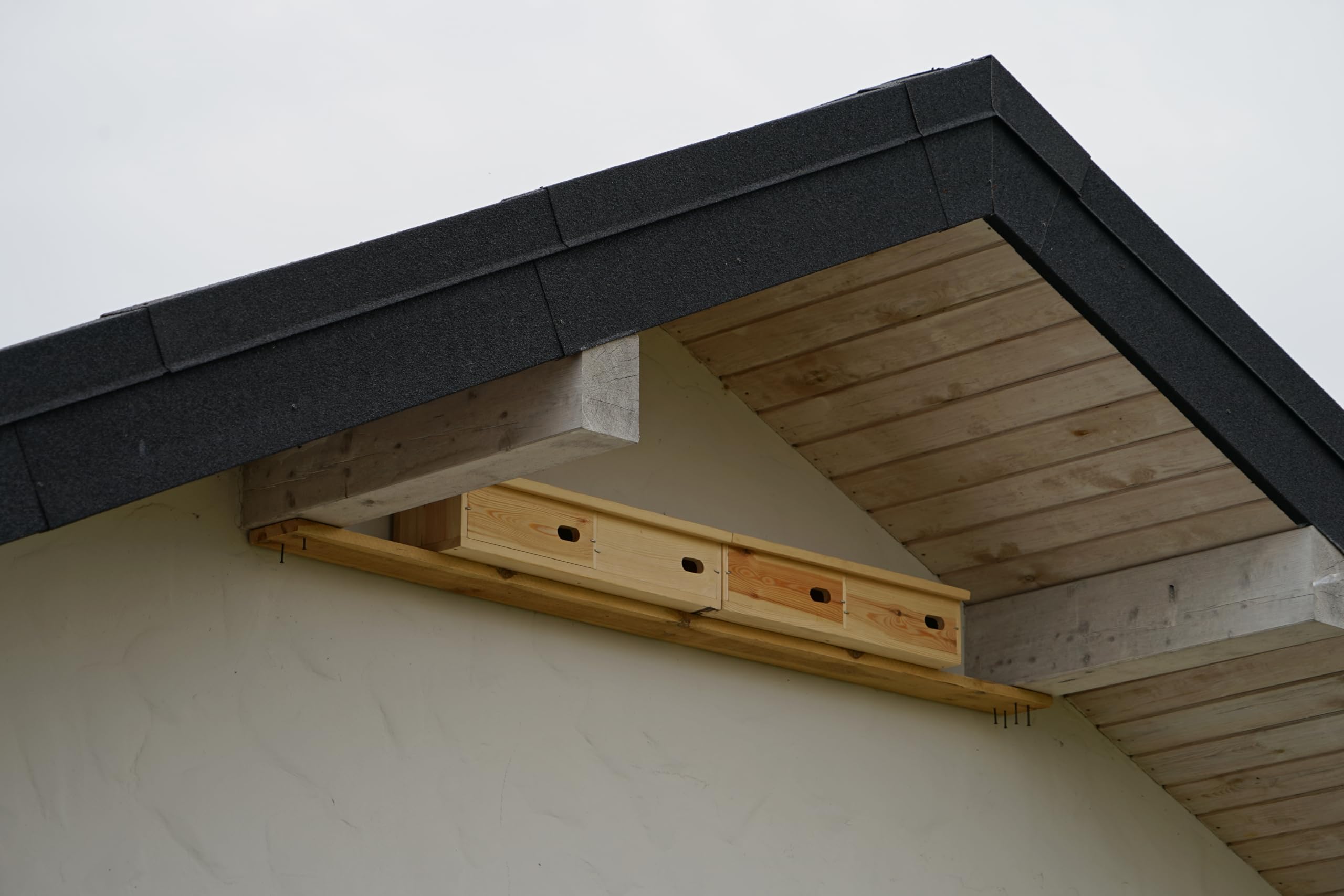 MKW - Nichoir Double en Bois pour martinets, Haute qualité
