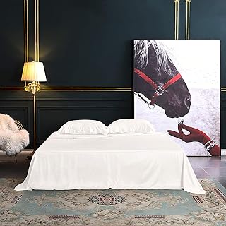 THXSILK 4pcs Silk Bed Sheets Set, 100% Long Stranded 25 Momme Mulberry Silk Bedding Set, Sheets and Pillowcase Set, Extremely Soft and Luxurious (White, Queen)