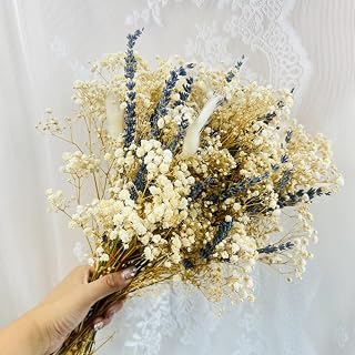 Dried Lavender & Baby's Breath & White Bunny Tails Flowers Bundles, Dried Flower Bouquet for Vase, Natural Gypsophila for Home, Wedding, Floral