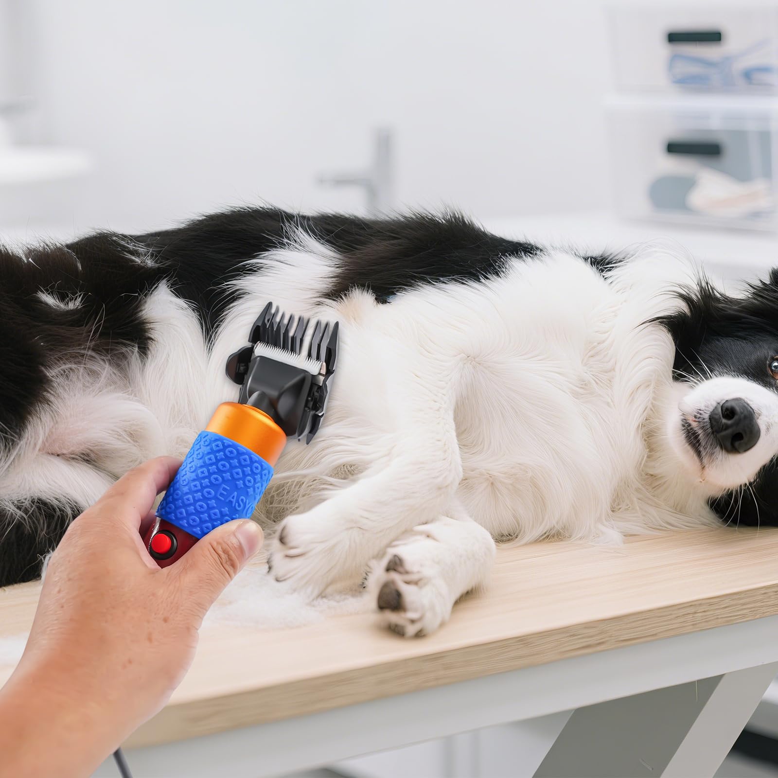 Tosatrice professionale per cani e gatti, tosatrice per animali silenziosa con 4 pettini e cavo da 3 m, lama in ceramica da 6600 RPM per taglio preciso