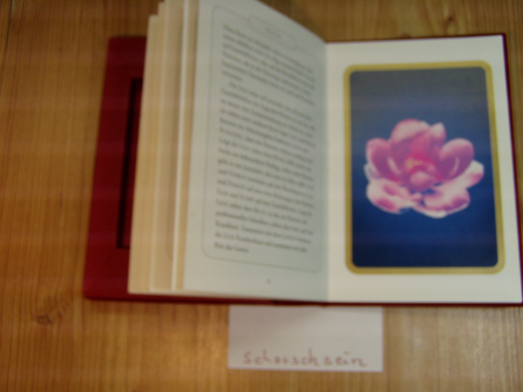Titanias Orakel-Set: Buch und Karten