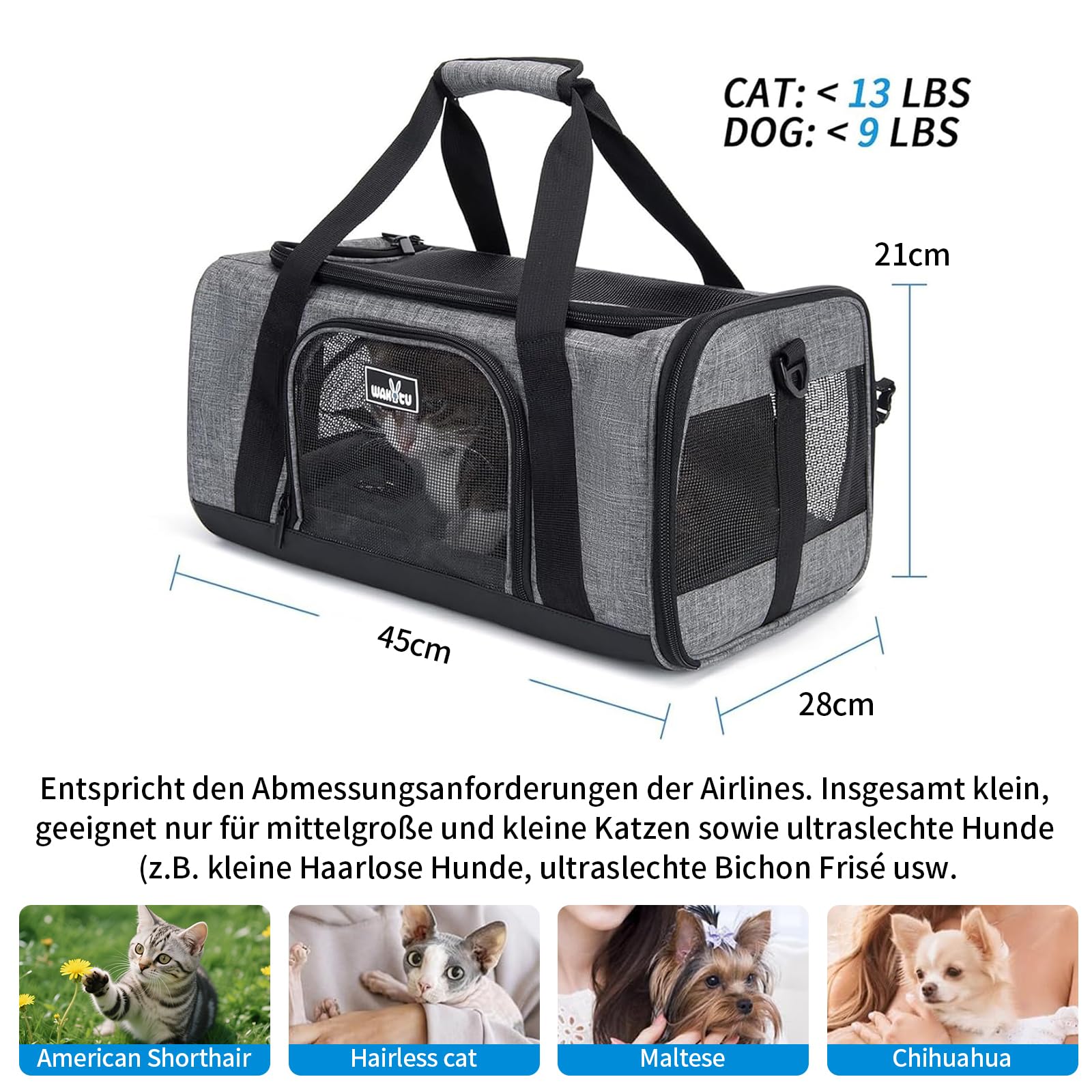 HAIPIMGT Transportbox Für Katzen & Hunde - Faltbar, Leicht & Flugzeugtauglich In Grün
