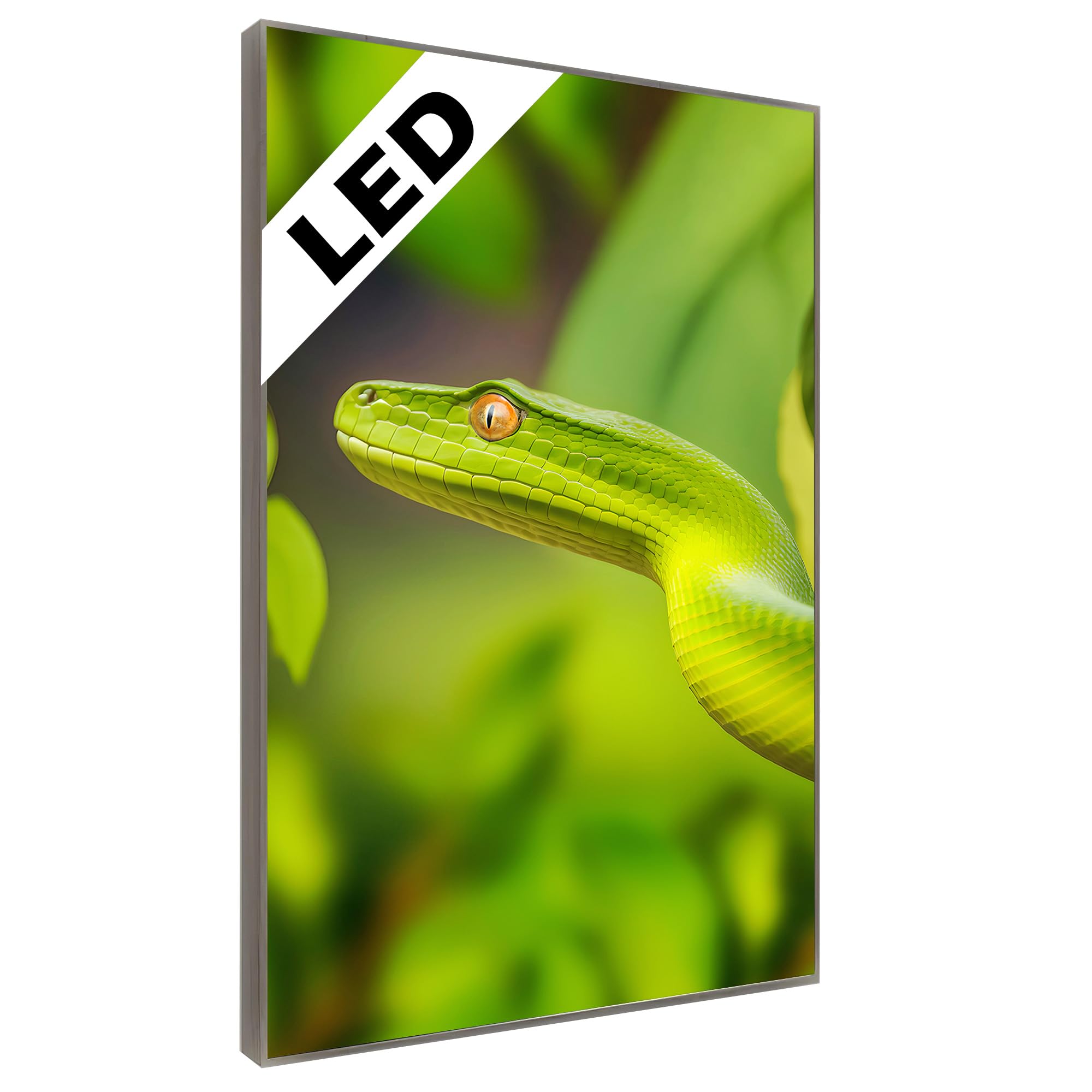 LED Wandbild Grüne Schlange – Beleuchtetes Tier Dschungel Reptil Leuchtbild