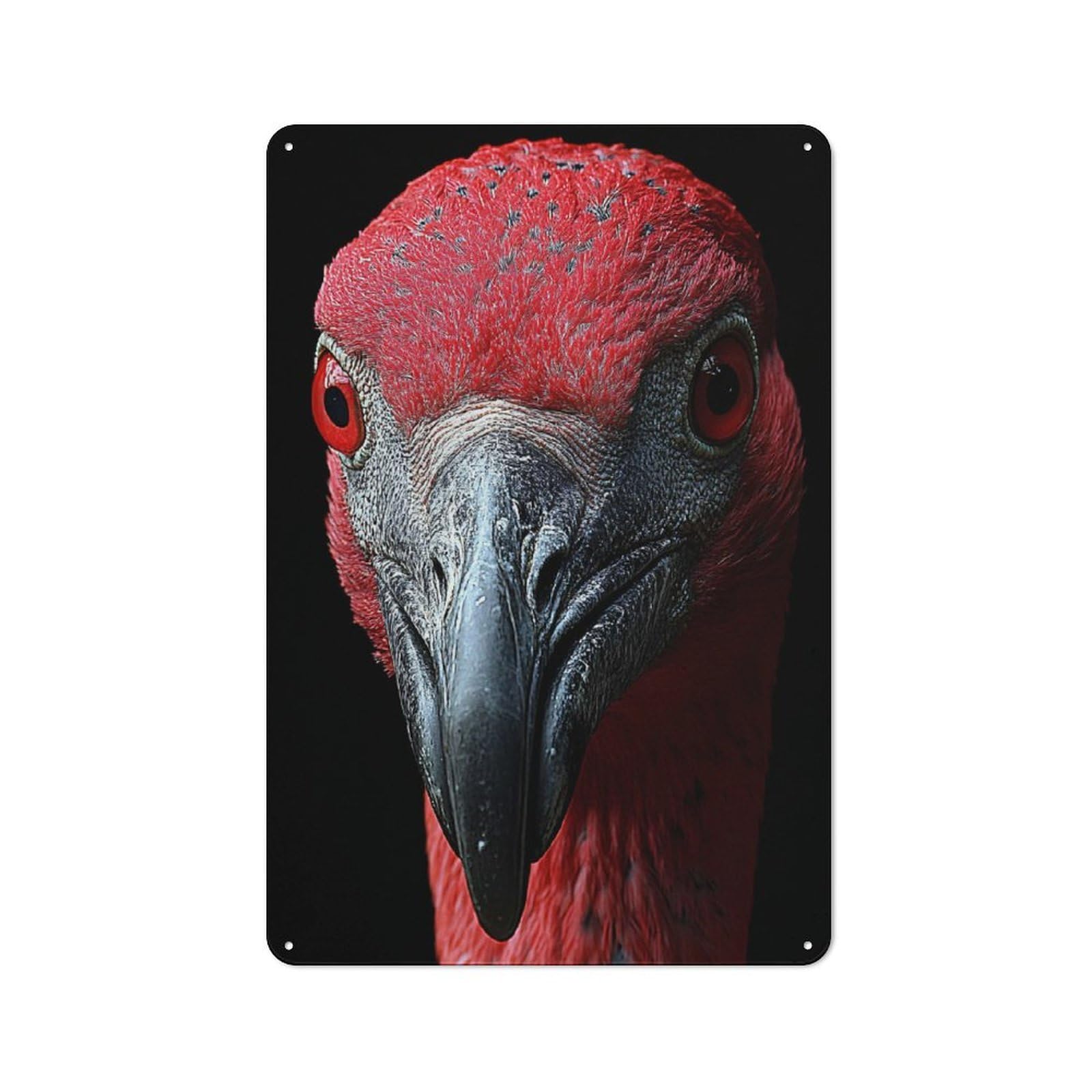 Junmoney Style-1 Vintage Scarlet Ibis Portrait Metal Plaque 30X20cm, Diner Style Decor For Bakery, Diner, Cafe Or Family Room