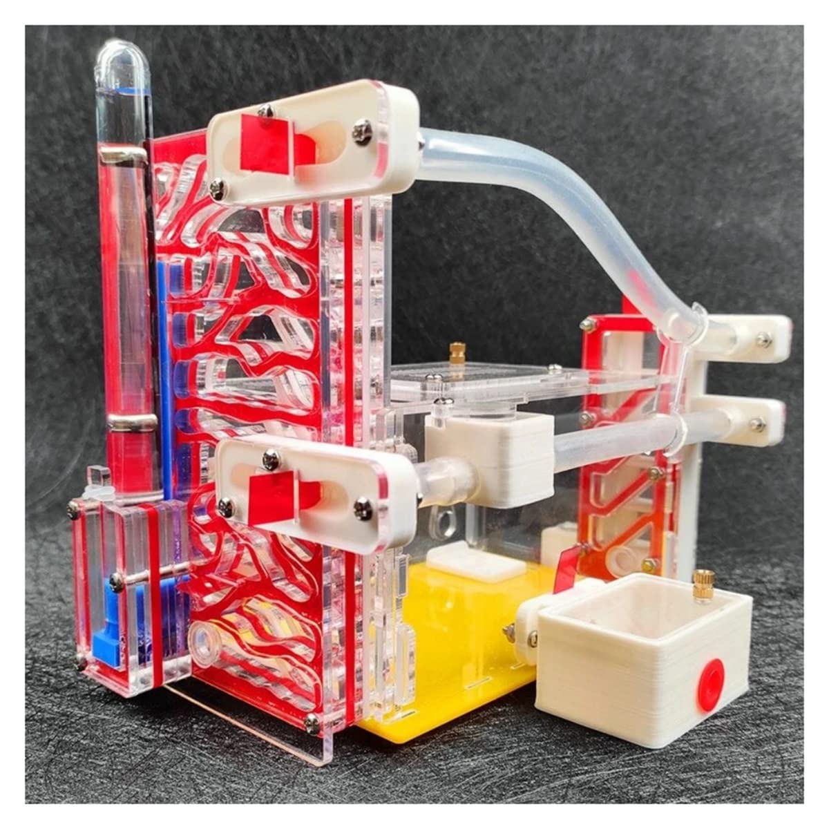 Formicaio In Acrilico Trasparente | Casa Per Formiche Con Torre D'Acqua | 19x9.5x14 Cm | Educativo E Divertente - Foto 5