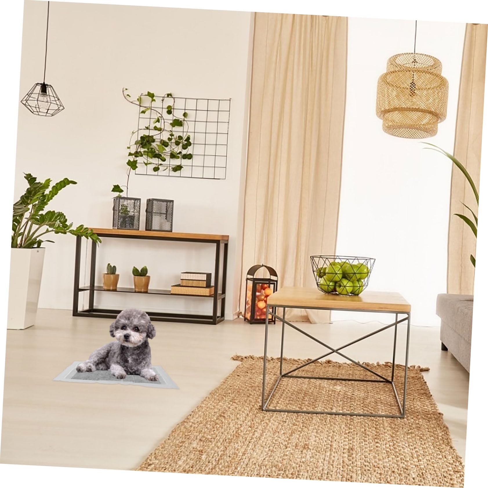 Mikikit Almohadillas para Orinar para Mascotas de Tela No Tejida, Portátiles y Ligeras, 100 Unidades para Entrenamiento en Jaulas y Lugares de Trabajo