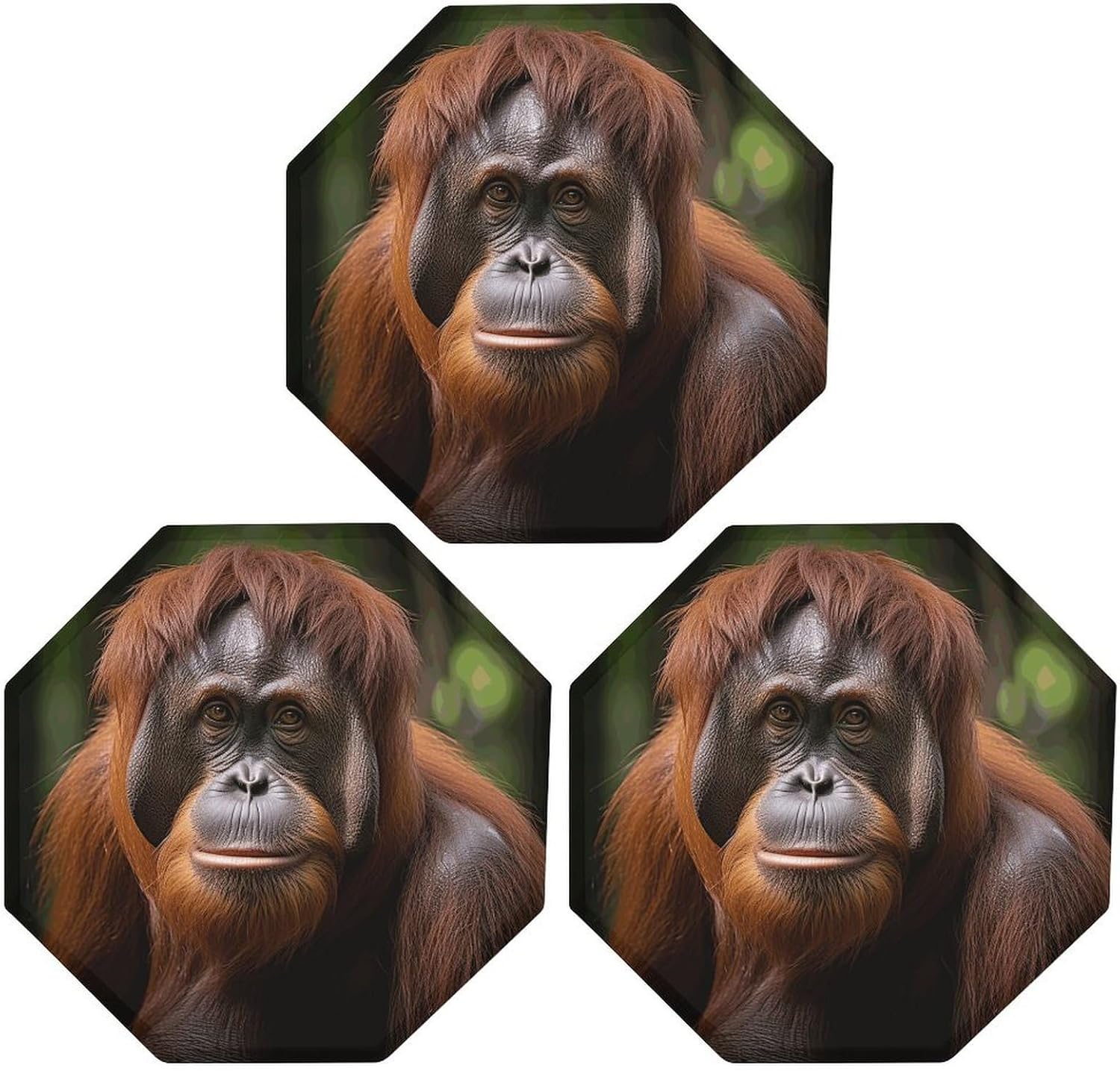 Ctagon Metal Sign for Home, Modern Display Plate for Kitchen, Orangutan Taking Photo Plates Accent Hanging Wall Decorations 3PCS for Living Room, Bedroom, Hallway, Hotel