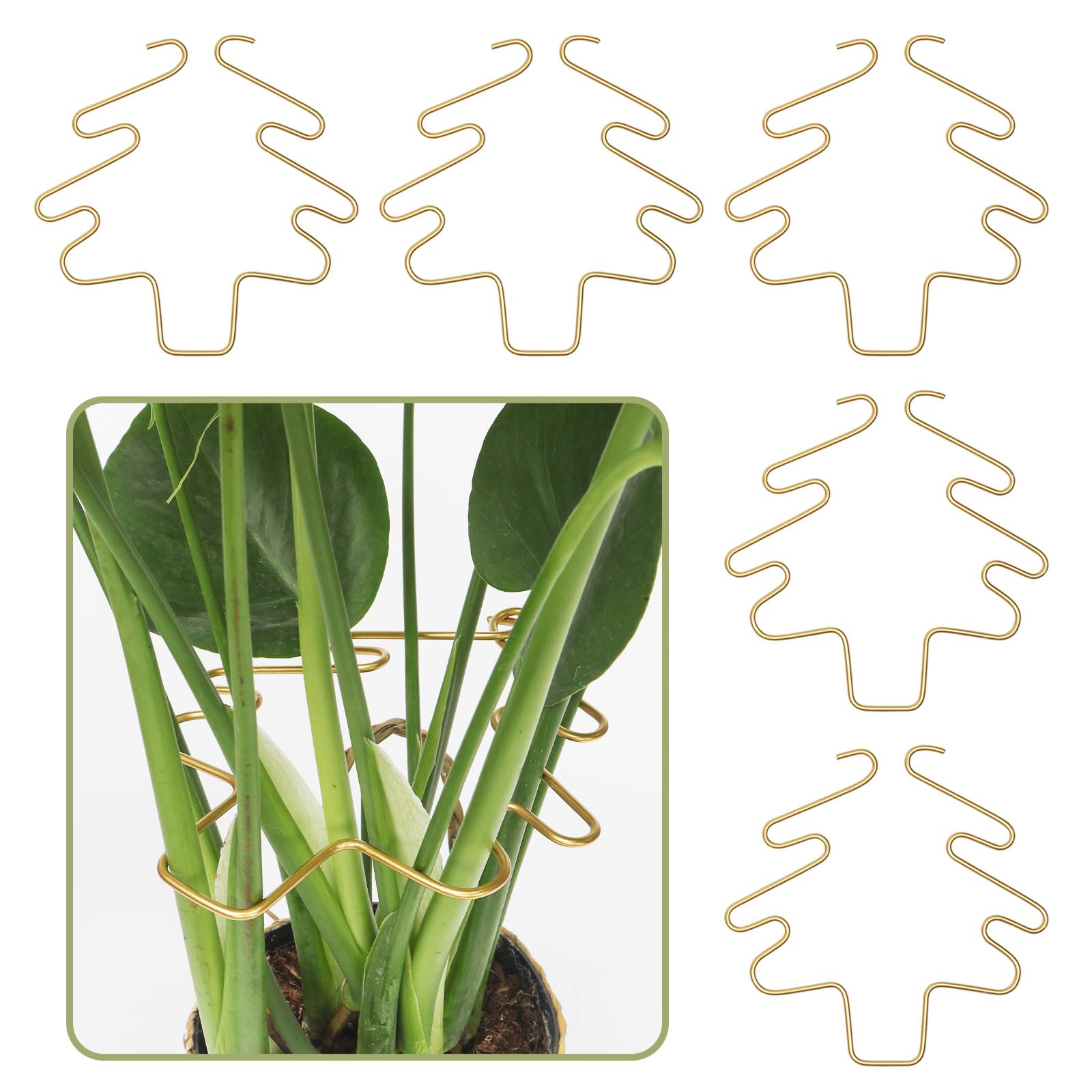 Supports de plantes Monstera dans le salon avec ce lot de 5 tuteurs en fer élégants