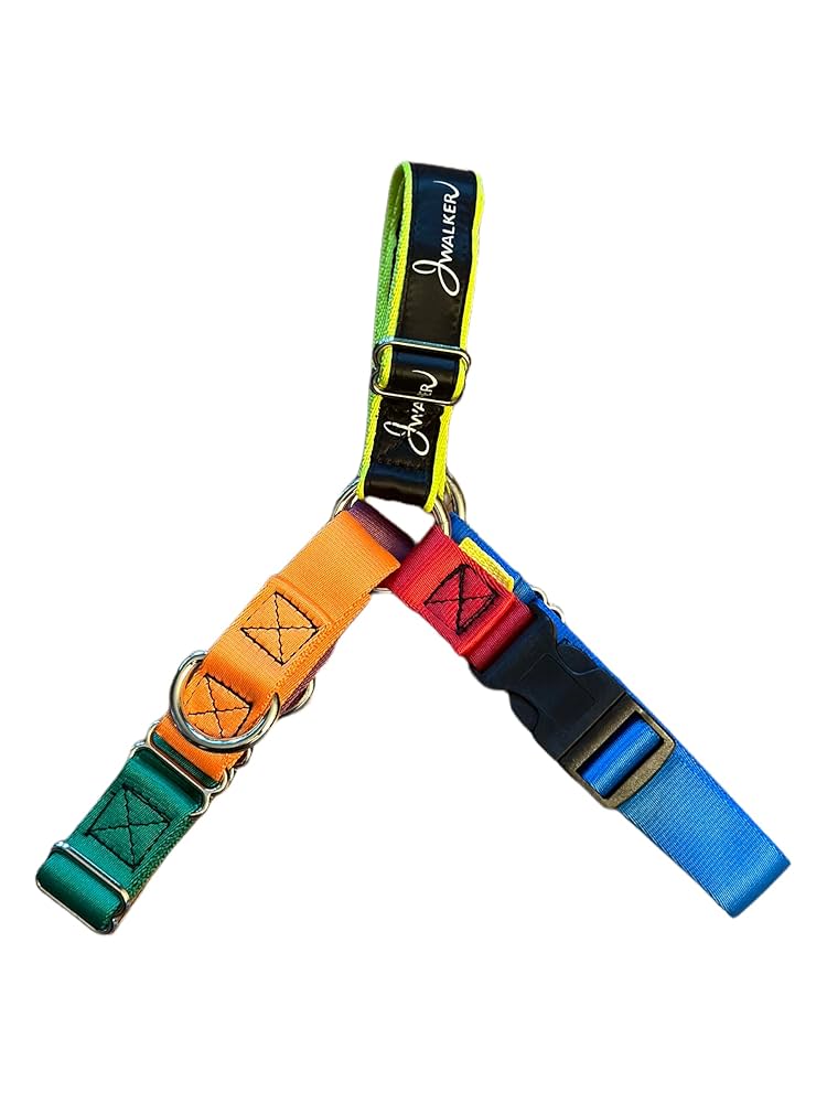 Amazon.com : JWalker Dog Training Harness, No-Pull Design