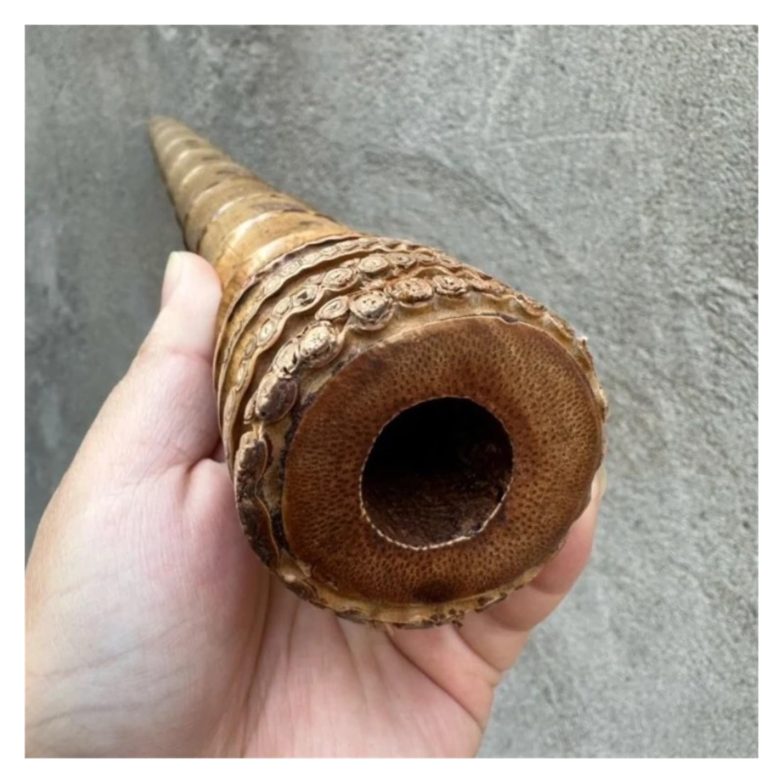 Flauta Xiao De Bambú De 8 Agujeros