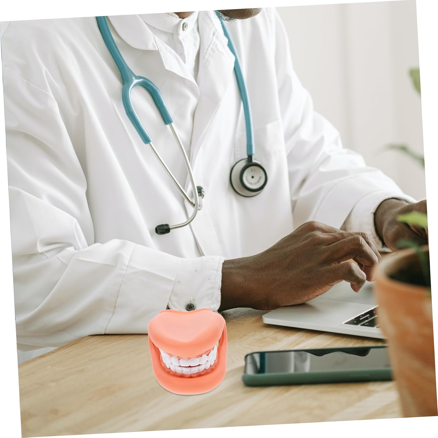 SOLUSTRE Dental Teaching Model for Children Interactive Tooth Model for Brushing Instruction Educational Oral Care