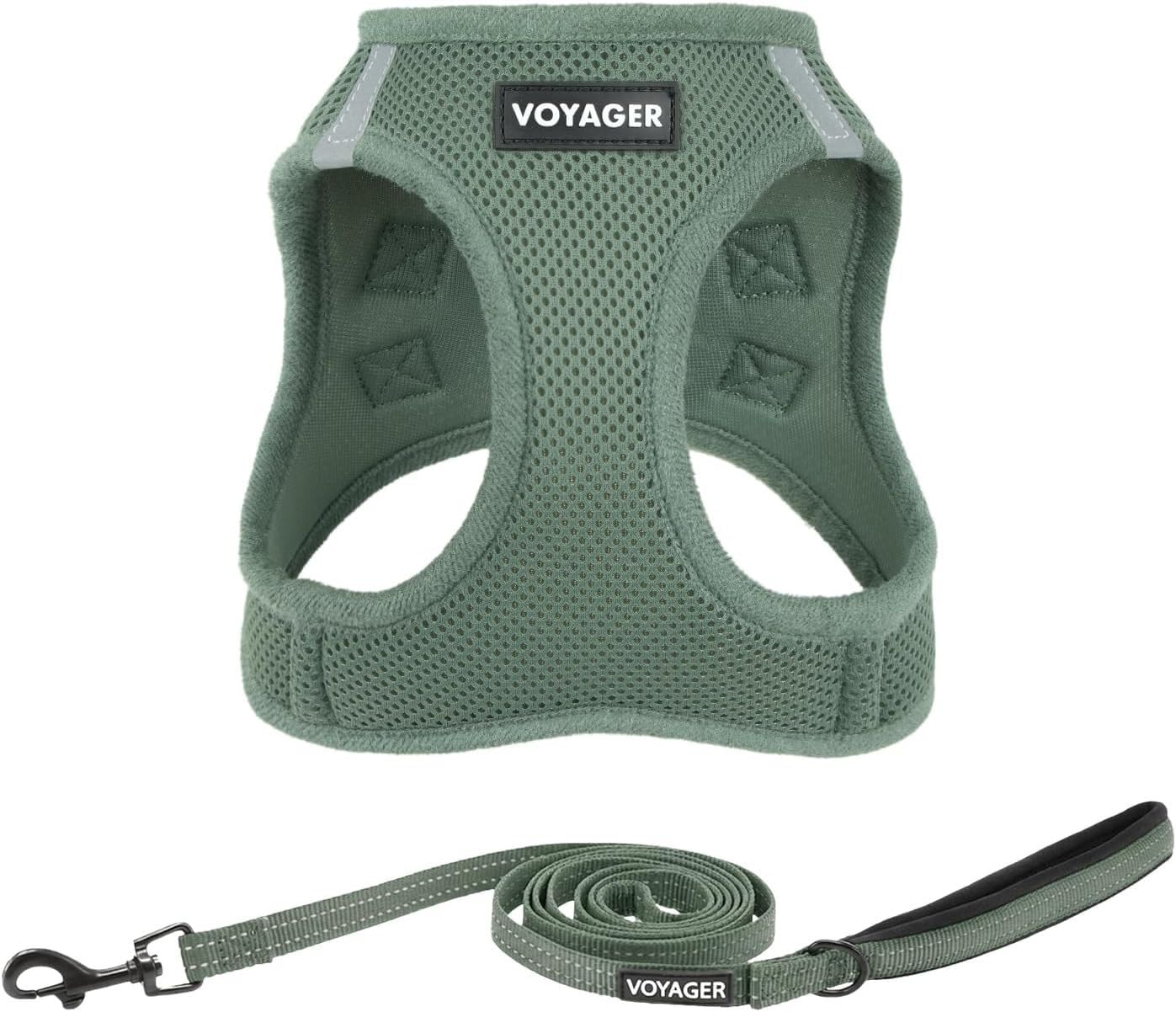 Best Pet Supplies Voyager Step-in Air All Season Mesh Harness and 5ft Reflective Leash Set with Neoprene Handle for Small Medium Large Puppies (Green)