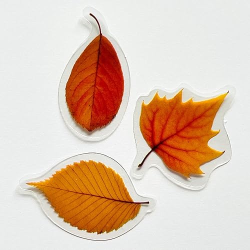 Miniatura 7 de Juego de 40 calcomanías de flores transparentes, impermeables, reutilizables, sin residuos, para planificador de diario, maleta, portátil, álbum de