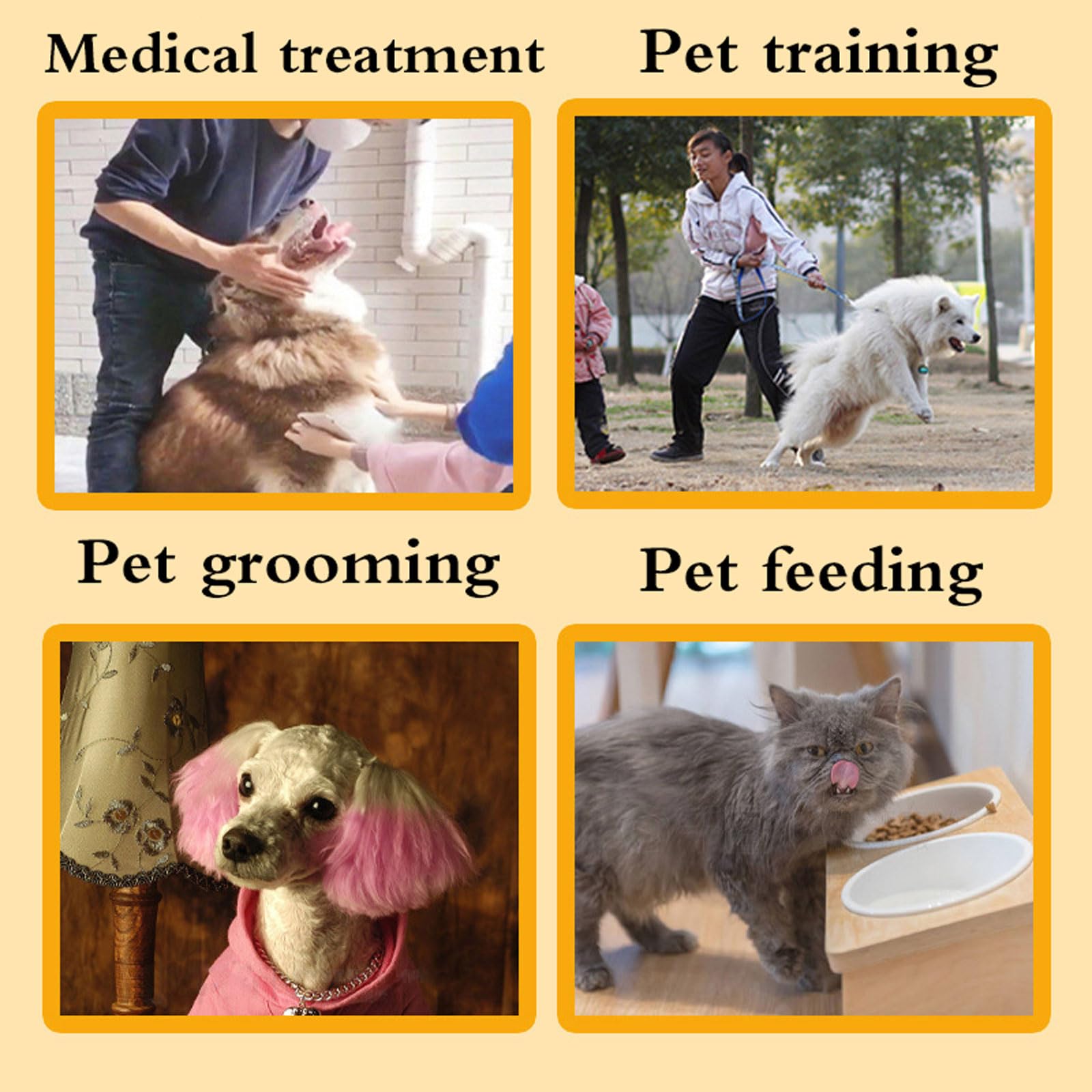 Gants Anti-Morsure,Gants De Traitement des,Gants de Soudure,Gants Renforcé Anti-Morsure,Résistant à l'usure,Indéchirable,Anti-crevaison,imperméable,pour Attraper Les Chiens,Les Chats