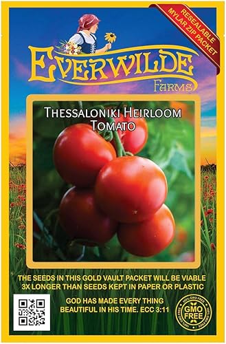 Everwilde Farms - 50 Semillas de Tomate Heirloom de Tesalónica - Paquete de semillas Gold Vault