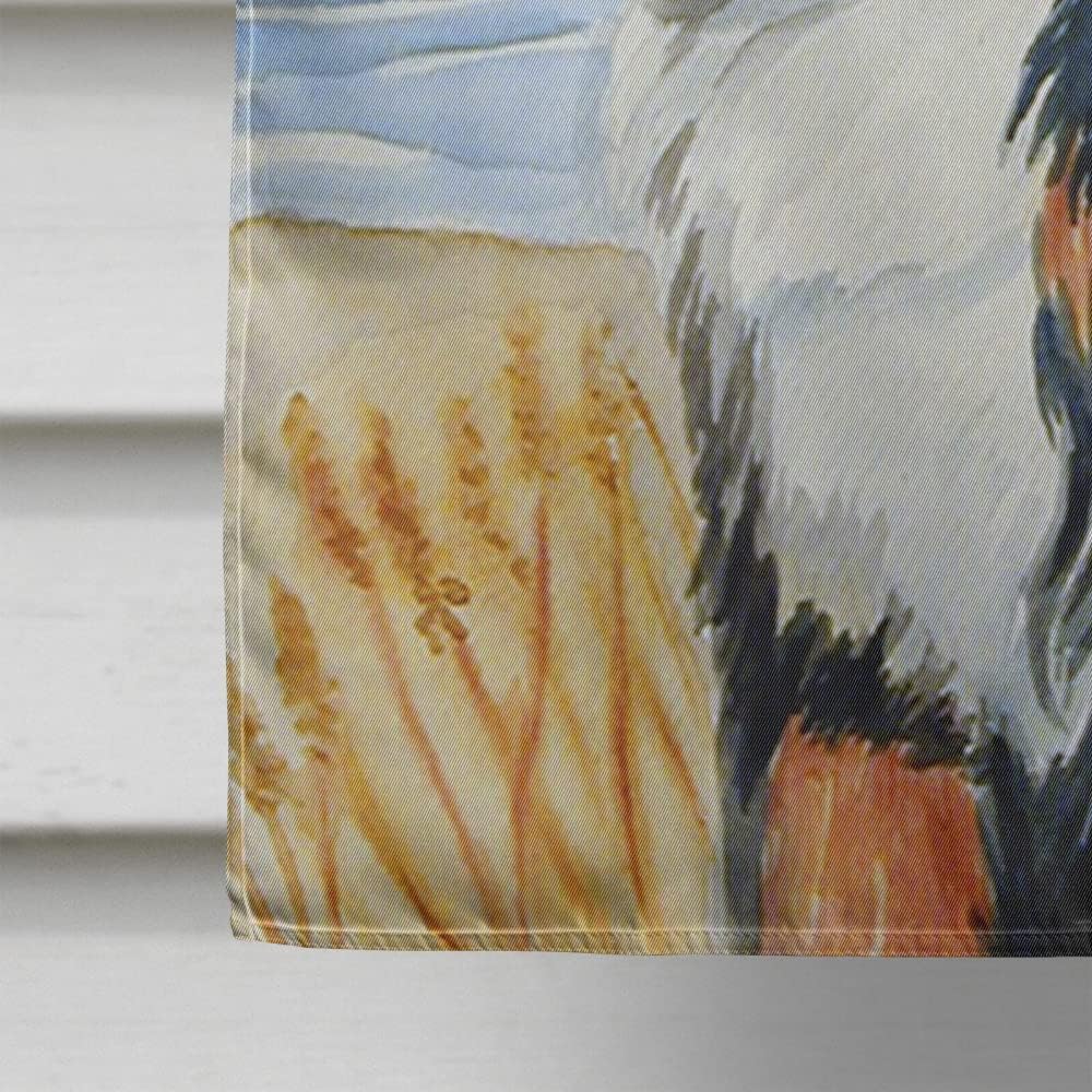 Caroline's Treasures 7012CHF Momma's Love Bernese Mountain Dog House Flag Large Porch Sleeve Pole Decorative Outside Yard Banner Artwork Wall Hanging, Polyester, House Size, Multicolor