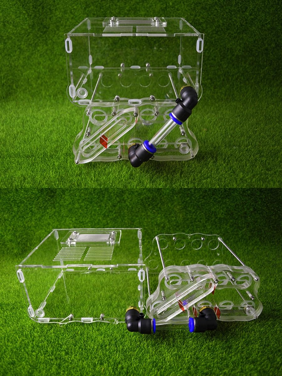 Formicario per formiche, 8 Tubi di vetro Acrilico Ant. for la scienza educativa e zona attiva del castello, villa degli insetti(General test tubes)