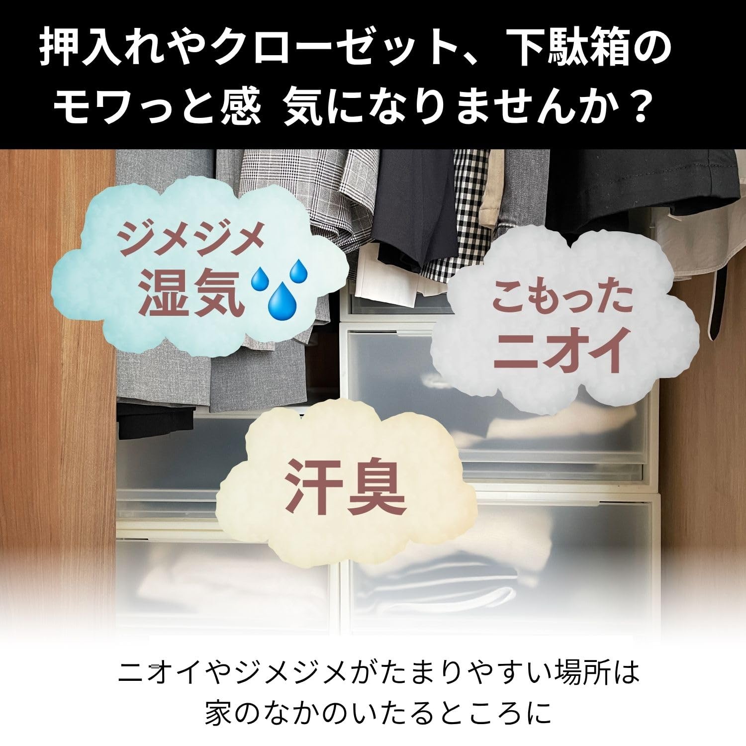 Amazon.co.jp: エステー_ドライペット