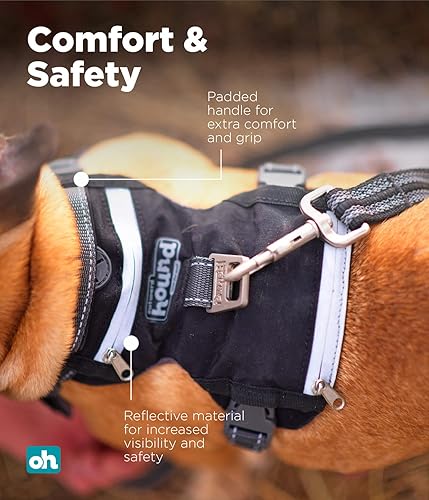 Vista 22 de Outward Hound Boulder Adventure - Arnés ajustable para perro con bolsillos, turquesa, mediano