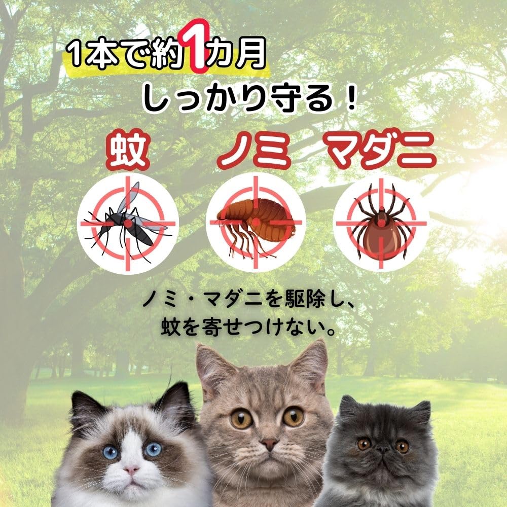 ショットオン 猫 死亡