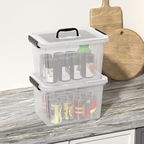Miniatura 7 de Obstnny Caja de almacenamiento de plástico de 20 L con asa, paquete de 4 contenedores de almacenamiento transparentes con pestillo
