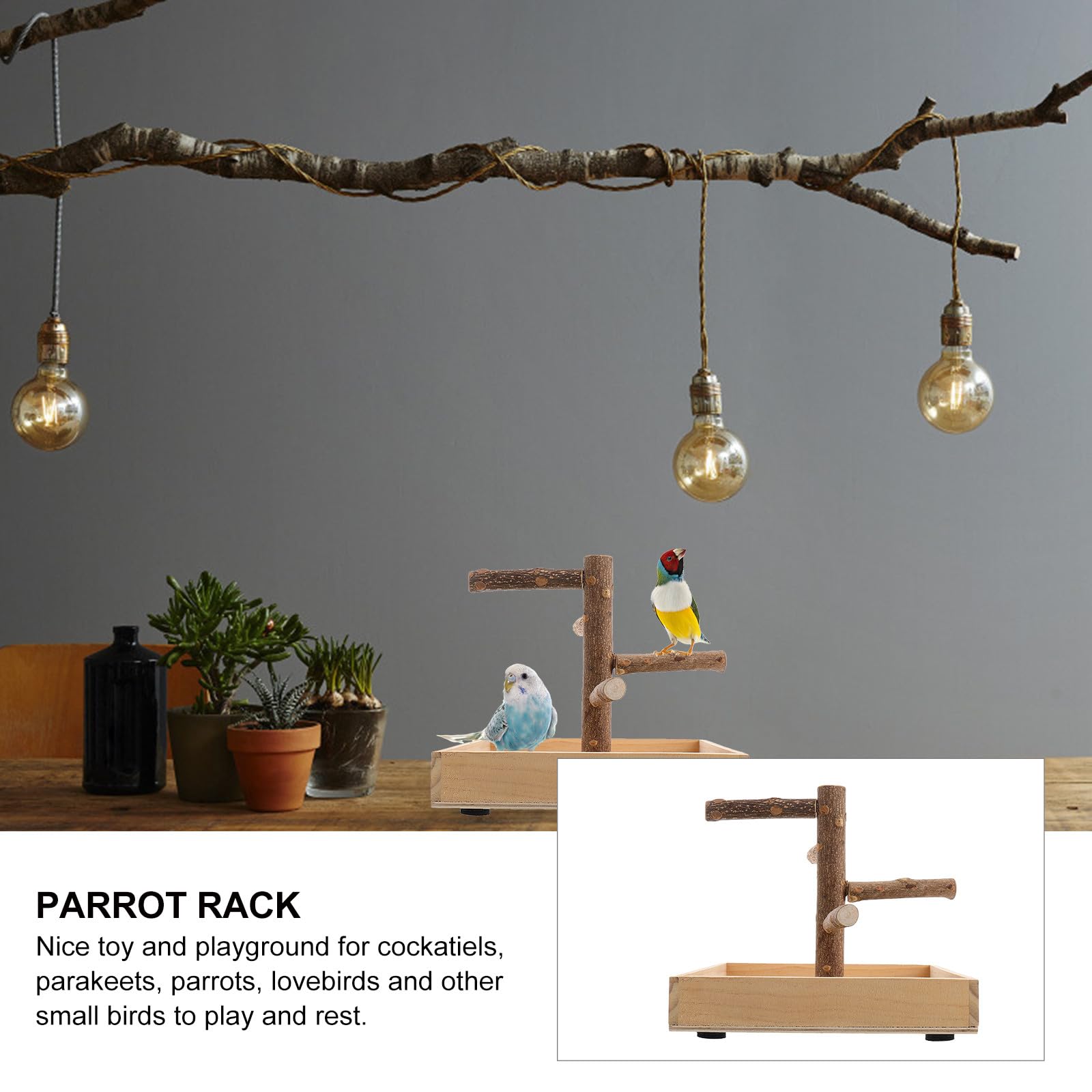 VALICLUD de Loros de Madera Pequeño para Jaula, Soporte de Percha para Pájaros, Ramas de Actividad para Entrenamiento, Accesorio Seguro para Periquitos y Cacatúas