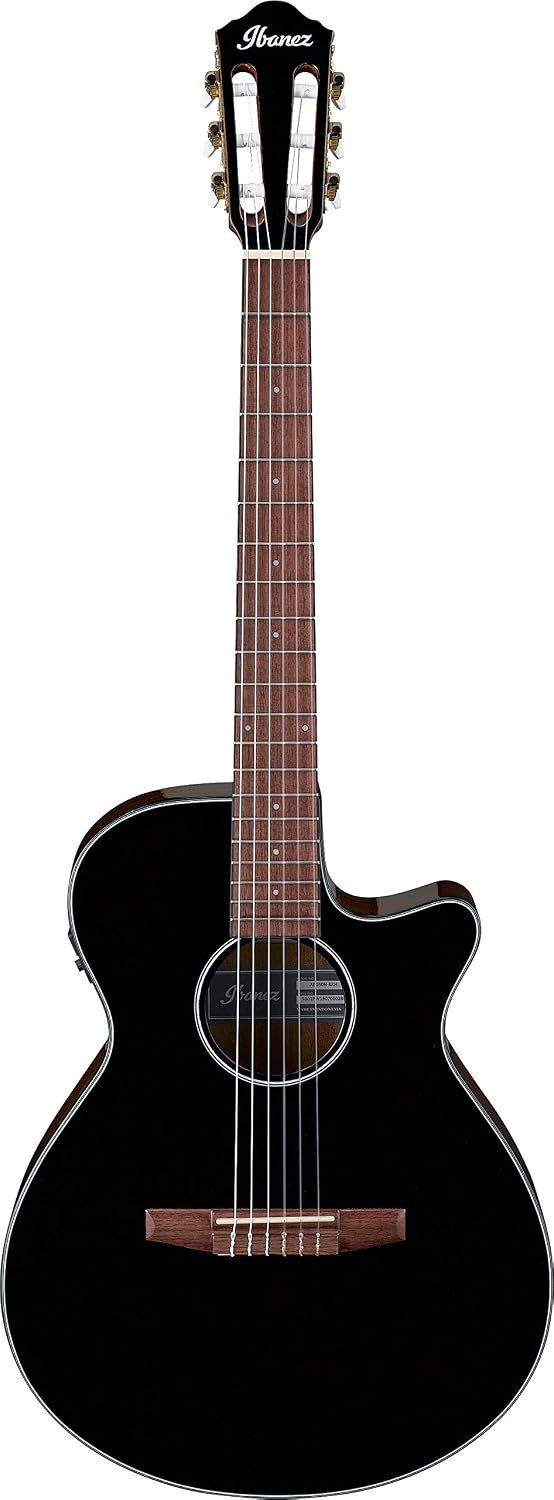 Ibanez AEG50N Acoustic-Electric Guitar