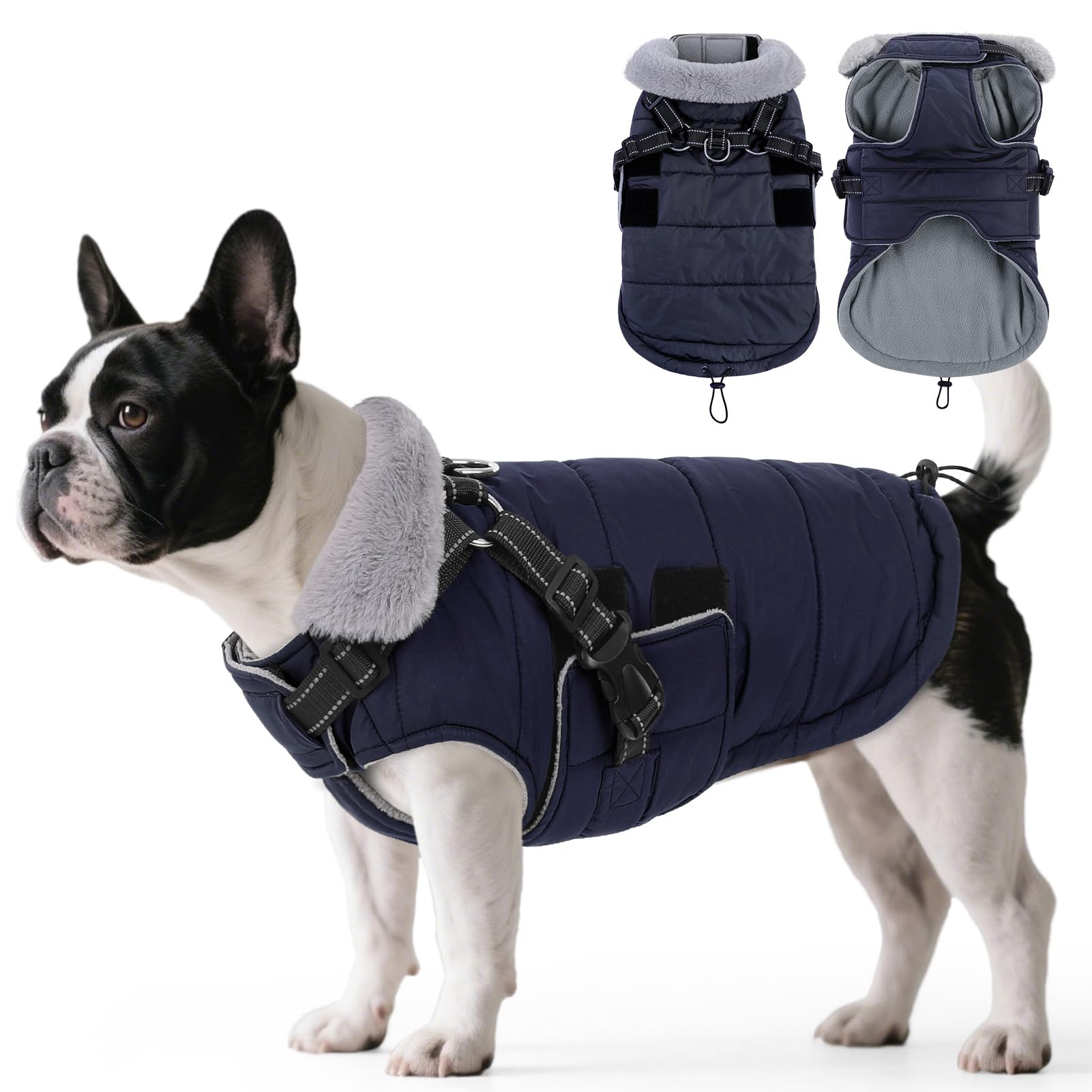 Manteau imperméable pour chien d'hiver ASENKU noir taille S pour petit animal