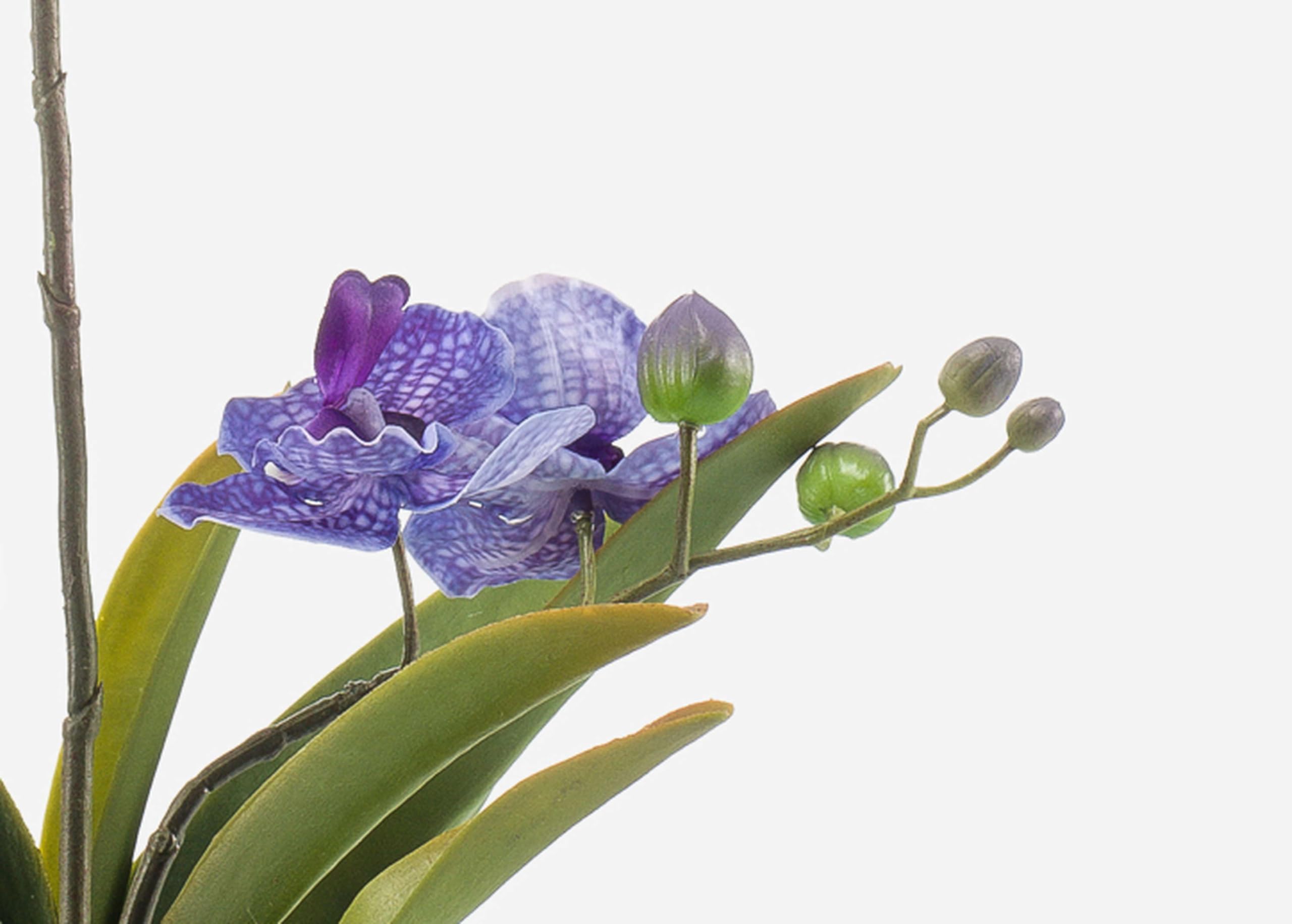 artplants.de Fleur Artificielle Orchidée Vanda Campo, Violet, 60cm