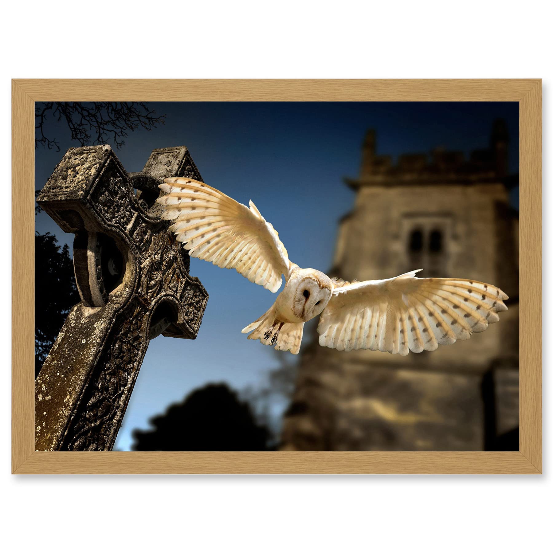 Artery8 Photo Barn Owl in Flight Bird Alba Graveyard Scotland Artwork Framed Wall Art Print A4