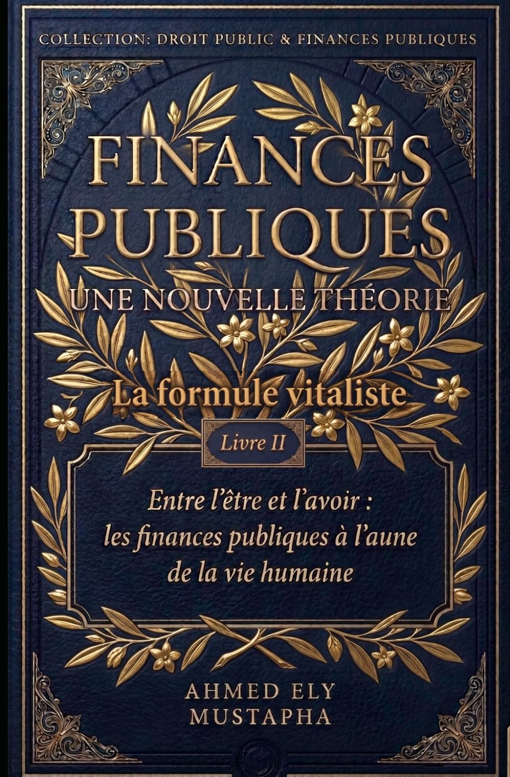 Finances publiques. Une nouvelle Théorie.: La Formule Vitale