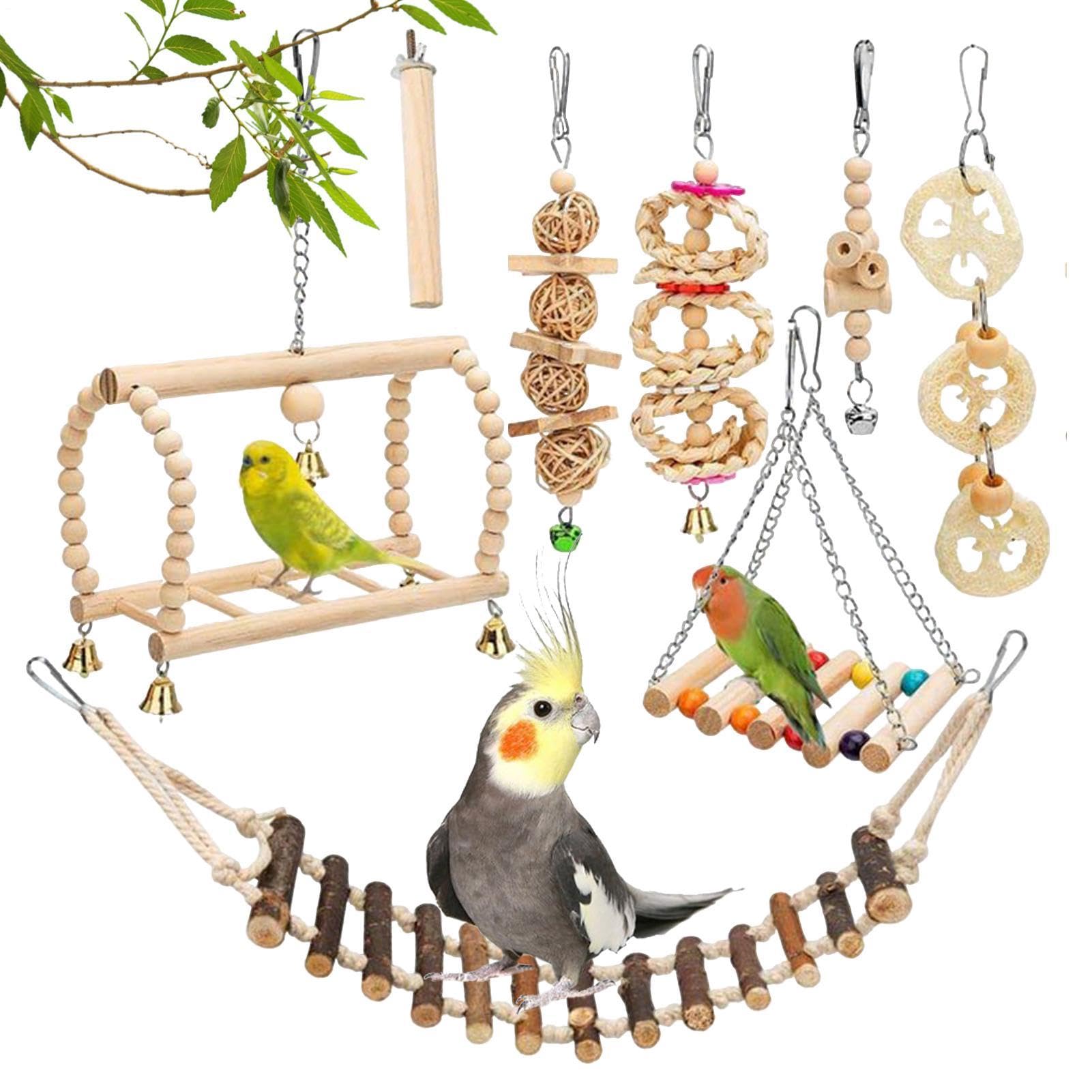 Accessoires d'escalade pour perruches et inséparables, kit de 8 pièces à mâcher pour oiseaux
