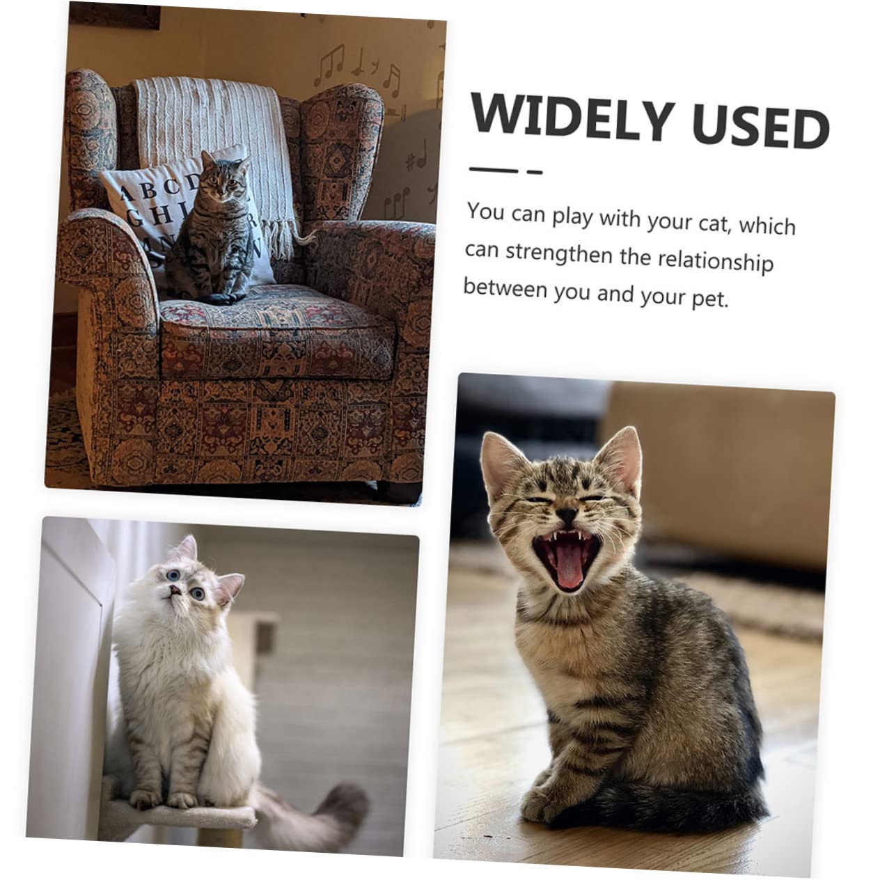 ifundom 4pièces Balle Interactive pour Chat avec Clochettes Jouet pour Chatons Balles De Jouets pour Chat Intérieur