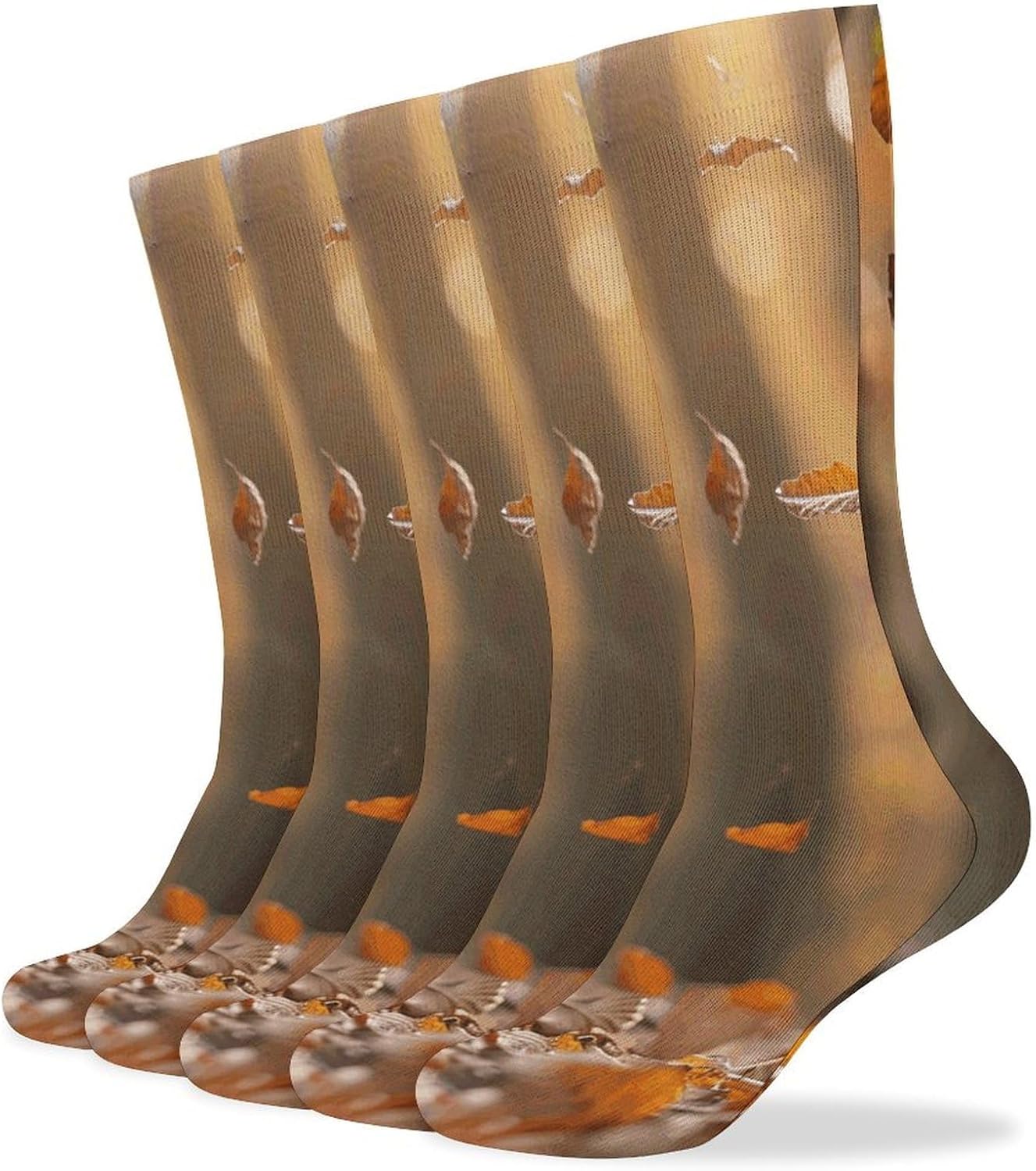 Squirrel And Leaves Knee High Socks Cozy Knee High Socks Soft Mid-Length Sock for All Seasons Daily Wear Adult