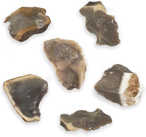 Piedras naturales de sílex/acelas para hacer fuego primitivo, el paquete de 1/2 libra incluye 5-7 piezas de Texas Chert seleccionados a mano (EE.UU.)
