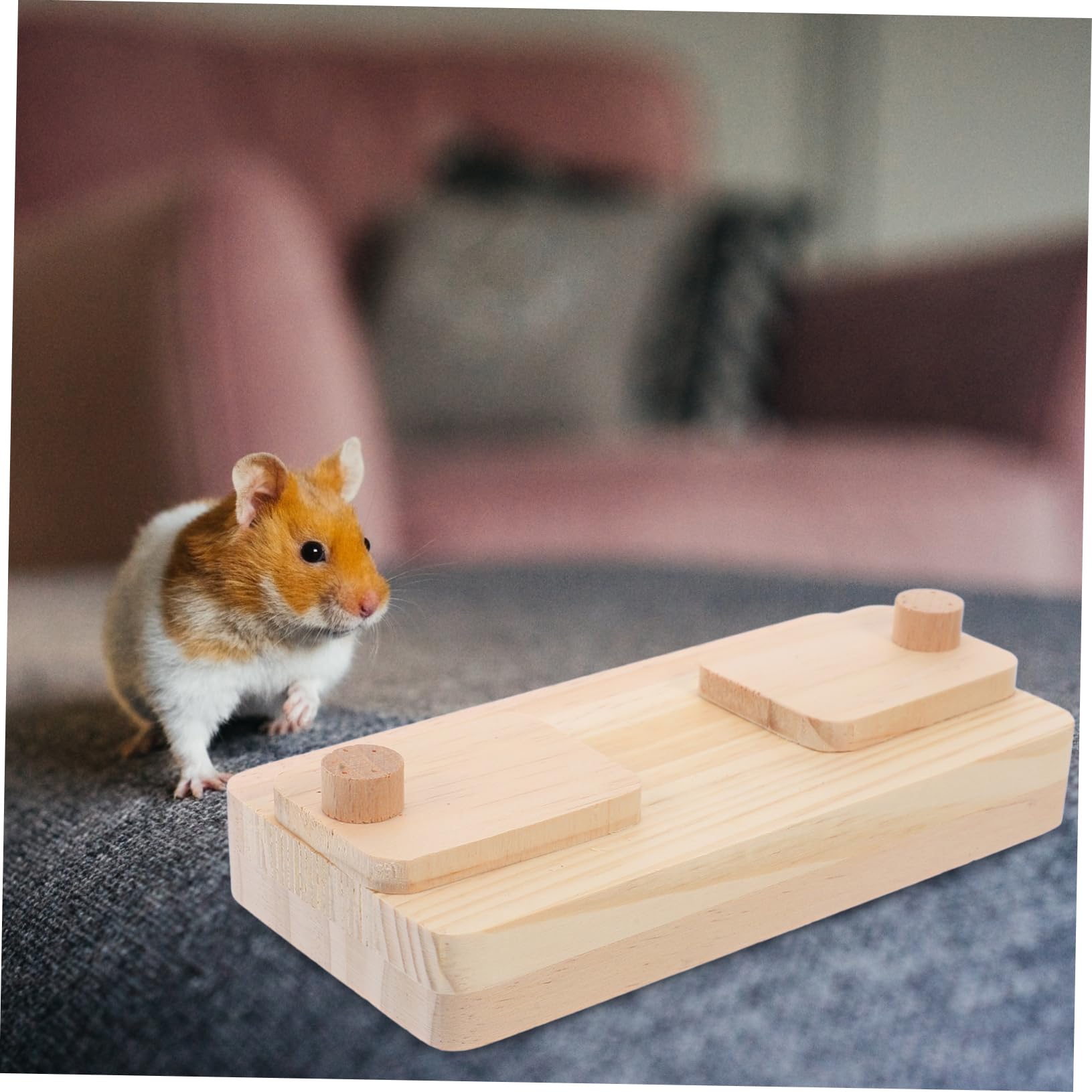 VANZACK 10pezzi Giocattoli Per Criceti Legno Gioco Di Ricerca Del Cibo Per Piccoli Animali Stimola Attività e Esplorazione Naturale Accessorio Divertente Per Criceti e Cavia