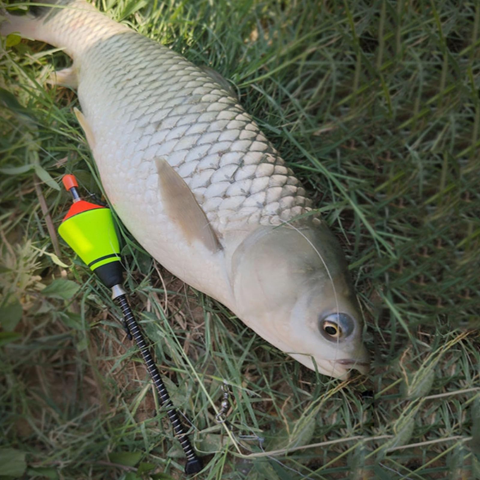 Flotadores de pesca automáticos, de pesca automática portátil, bobinas de pesca automáticas LED, flotadores de pesca iluminados, dispositivo de flotador de pesca LED, bobinas de pesca rápida de
