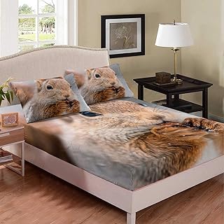 Feelyou Kids Cartoon Fitted Sheet Cute Squirrel Print Bed Sheet Set 3D Animal Theme Bedding Set for Boys Girls Kids Room Decor Lightweight Nature Theme Bed Cover Twin Size