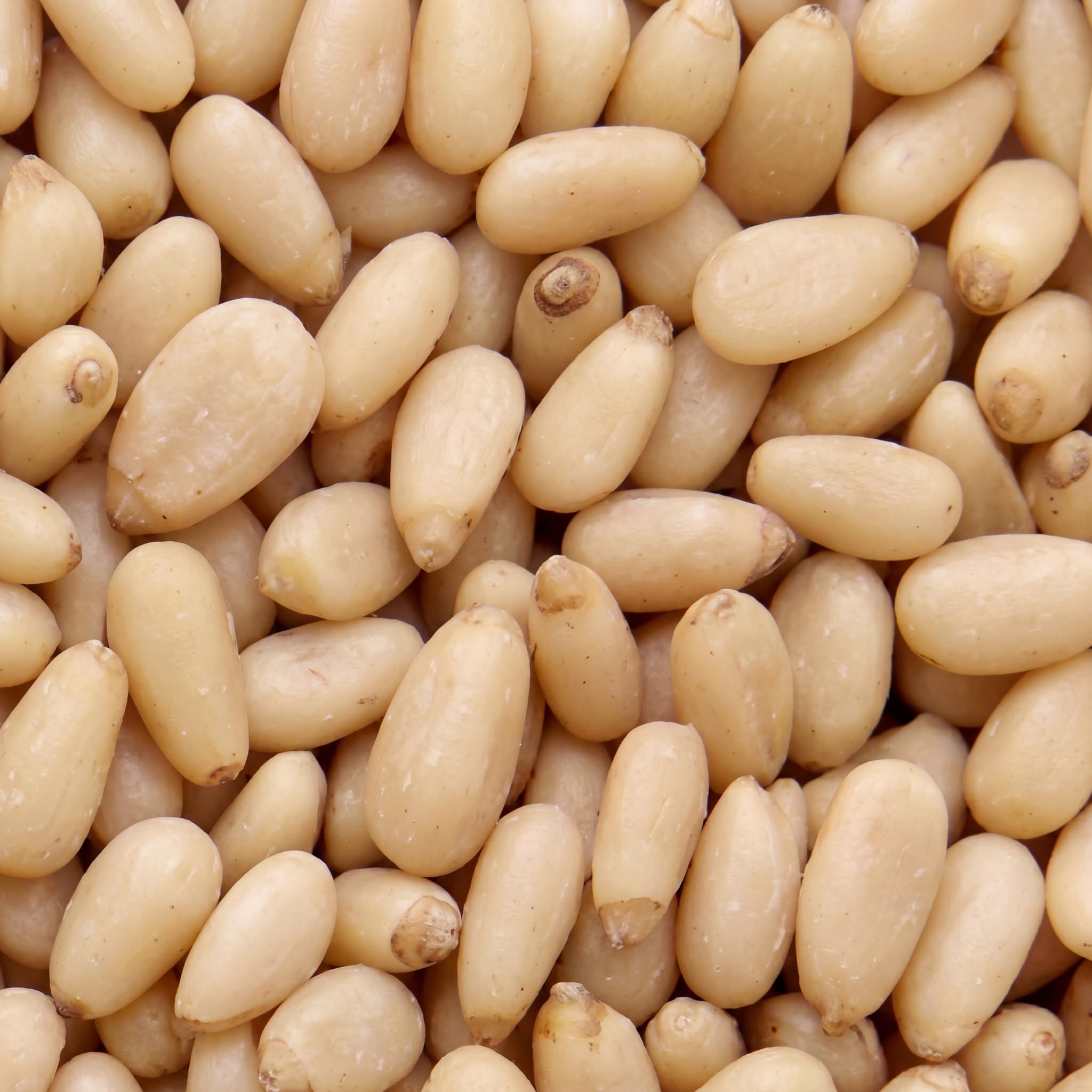 Pinoli naturali 1 kg nut&me | Pinoli sgusciati | Ideali per il pesto | Non tostati |