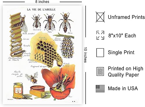 Miniatura 2 de Poster Master Póster vintage de miel, impresión retro de La Vie De L'Abeille, arte de panal de abeja, arte de pared de abeja, regalo para hombres y