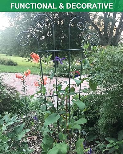 Miniatura 6 de Paquete de 4 enrejados de plantas trepadoras de 23 pulgadas para plantas trepadoras en macetas de interior, enrejado de jardín de metal para plantas