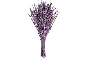 June Fox Dried Lavender Flowers