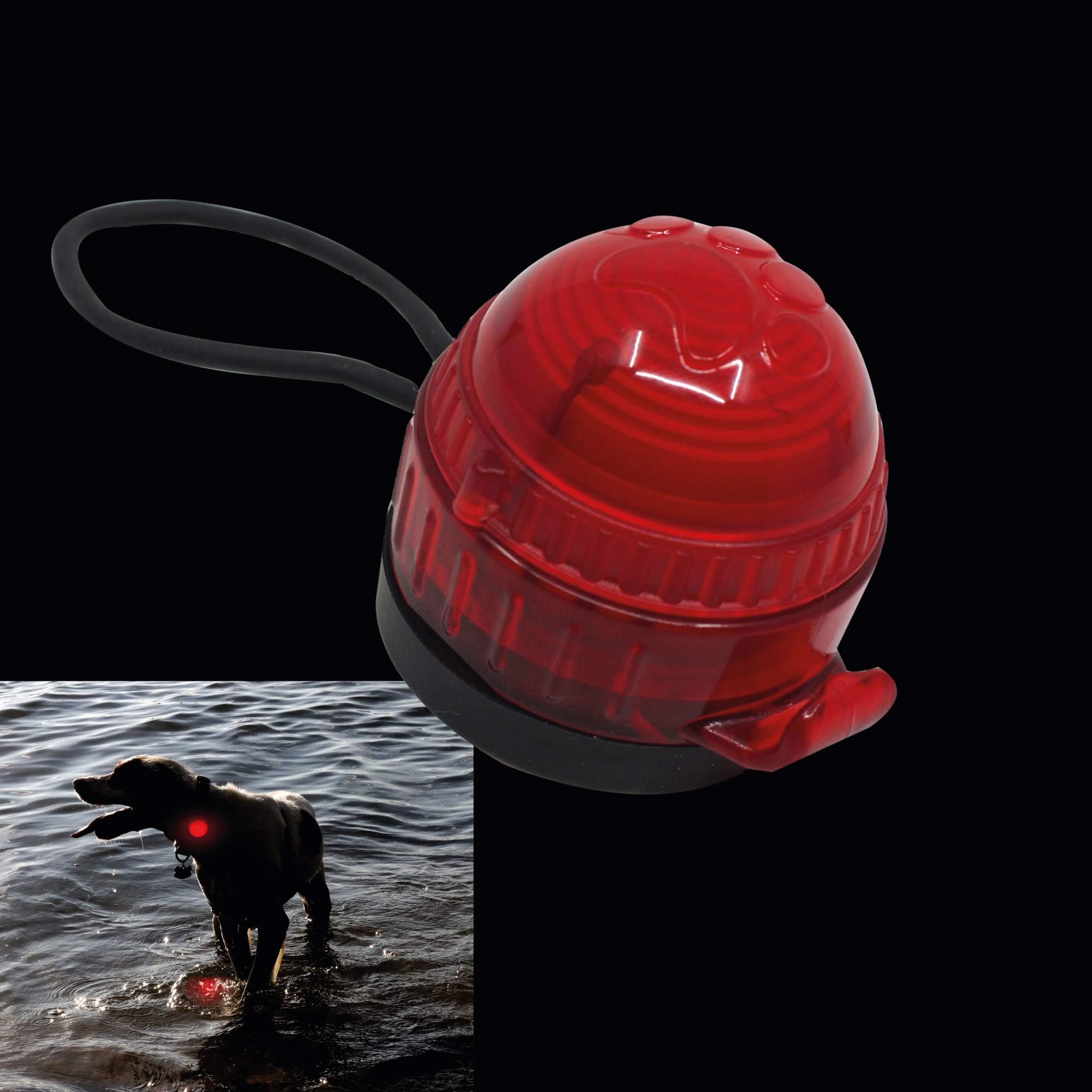 FindablesUSB Rechargable Pet Dog Safety Light