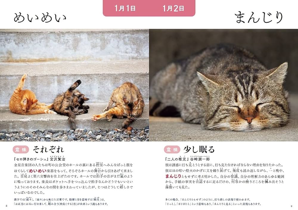 たにゃ たにゃ (@kabukinoraneko) / X