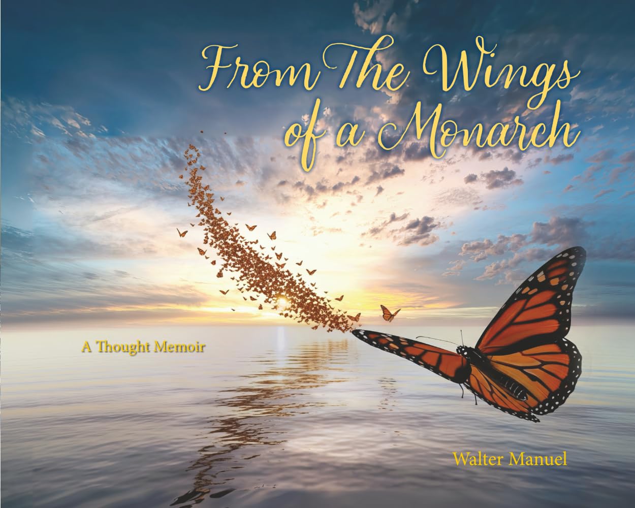 From The Wings Of A Monarch: A Thought Memoir