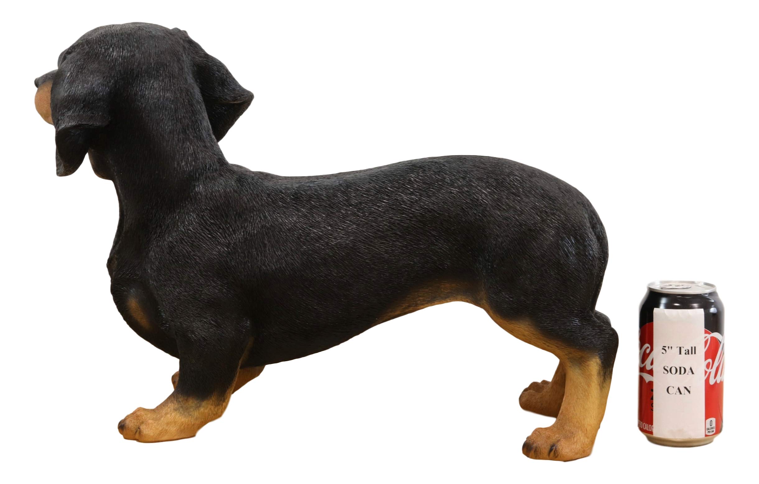 Amazon.co.jp: Ebros 愛らしい 大型 本物そっくり 黒と黄褐色 ダックス