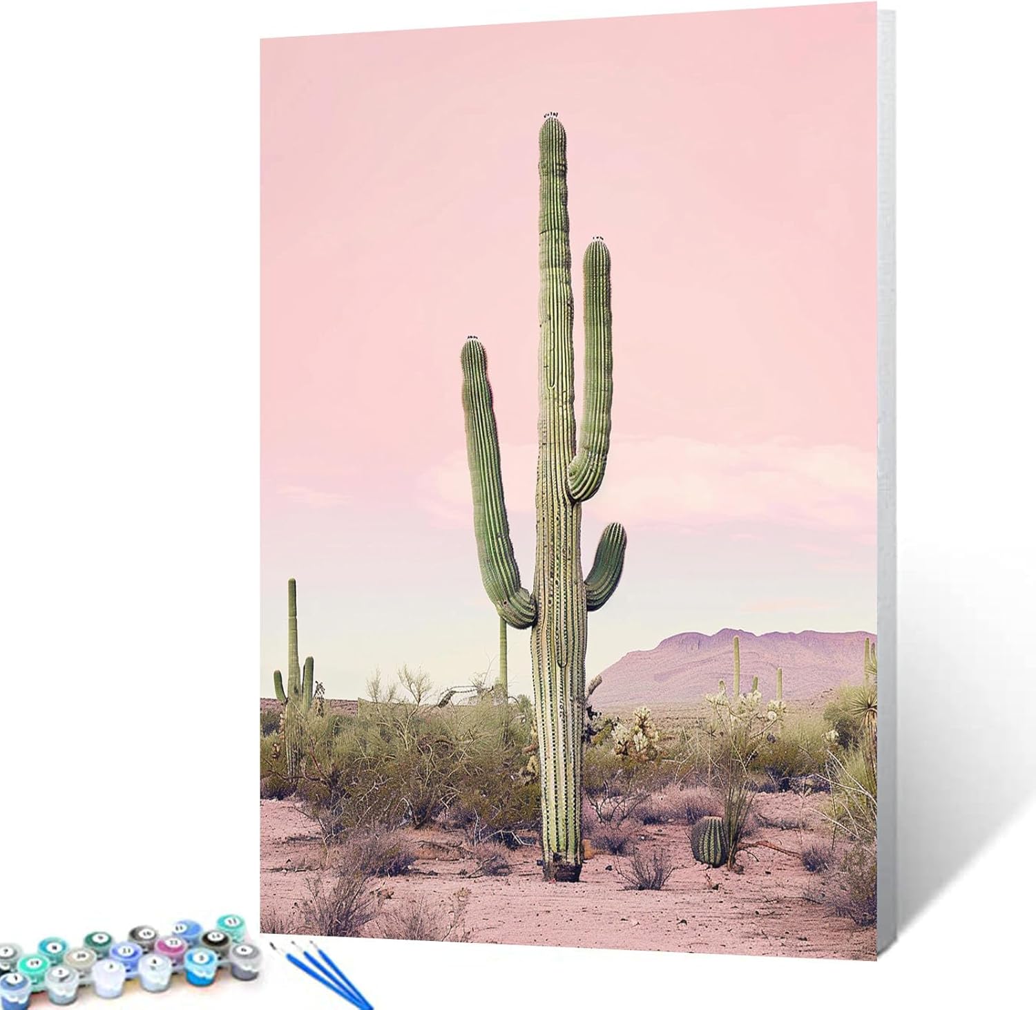 Tucocoo Pink House with Cacti Paint by Numbers Kits with Brushes and Acrylic Pigment on Canvas Painting for Adults, Cactus Plant Vintage Style Picture for Home Wall Decor Gifts 16''x20'' (DIY Framed)