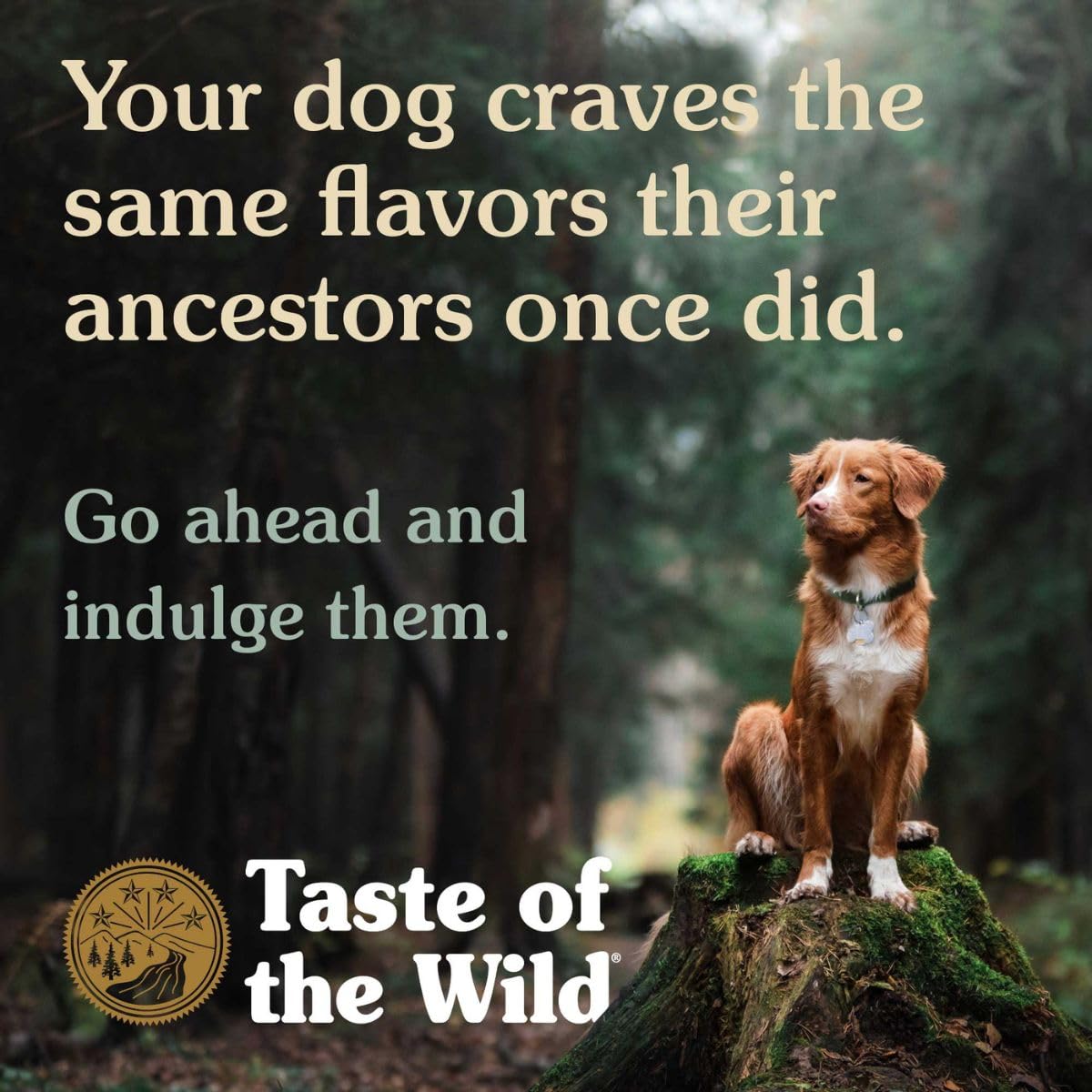 Taste Of The Wild pienso para cachorros con Salmon Ahumado 12,2 kg Pacific stream puppy