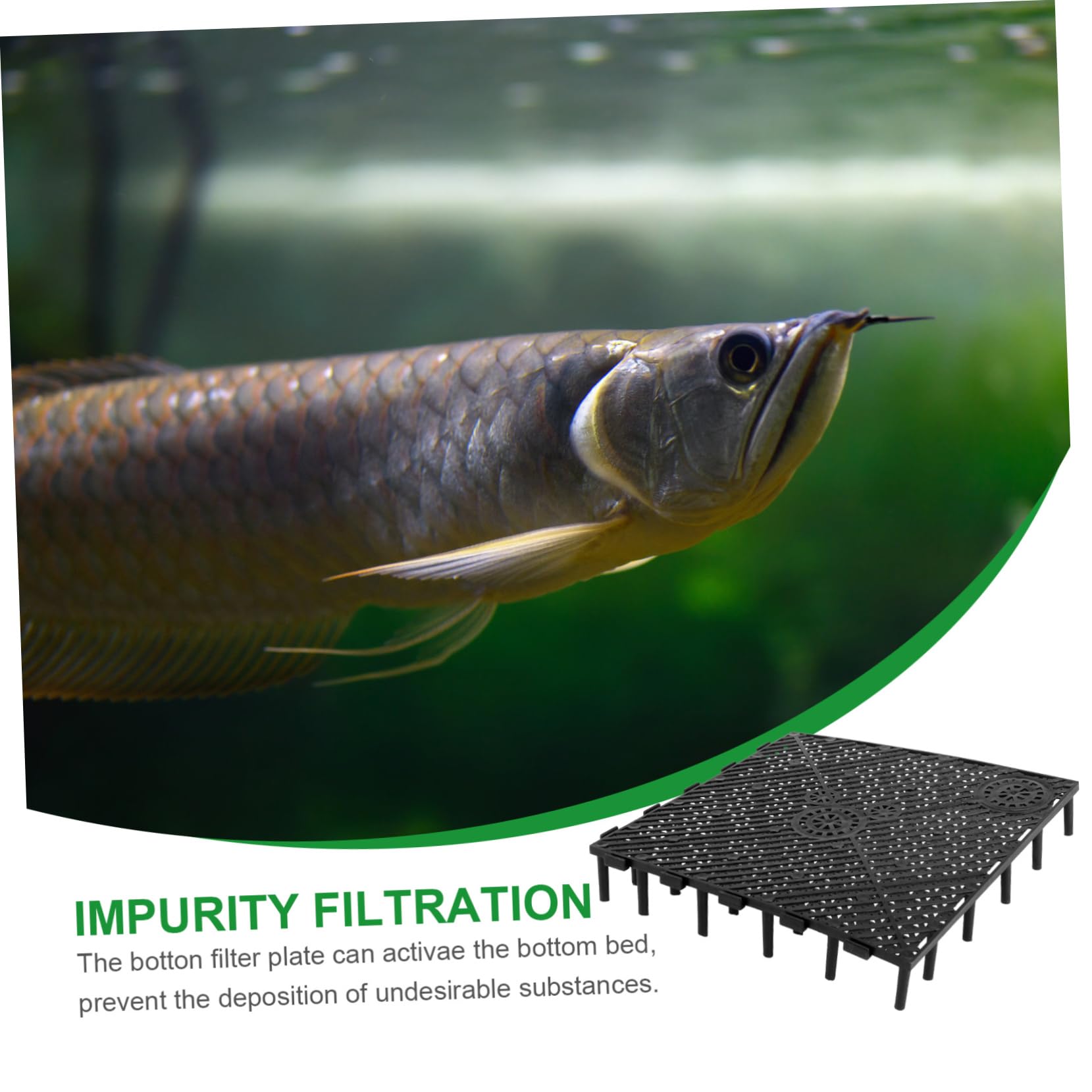 BESPORTBLE Grille De Fond Aquariophilie 60 Pièces Plaque Filtrante pour Aquarium Panneau Filtrant De Gravier Sable Pisciculture Gravier Noir pour Aquarium D' Bardeau Appartement